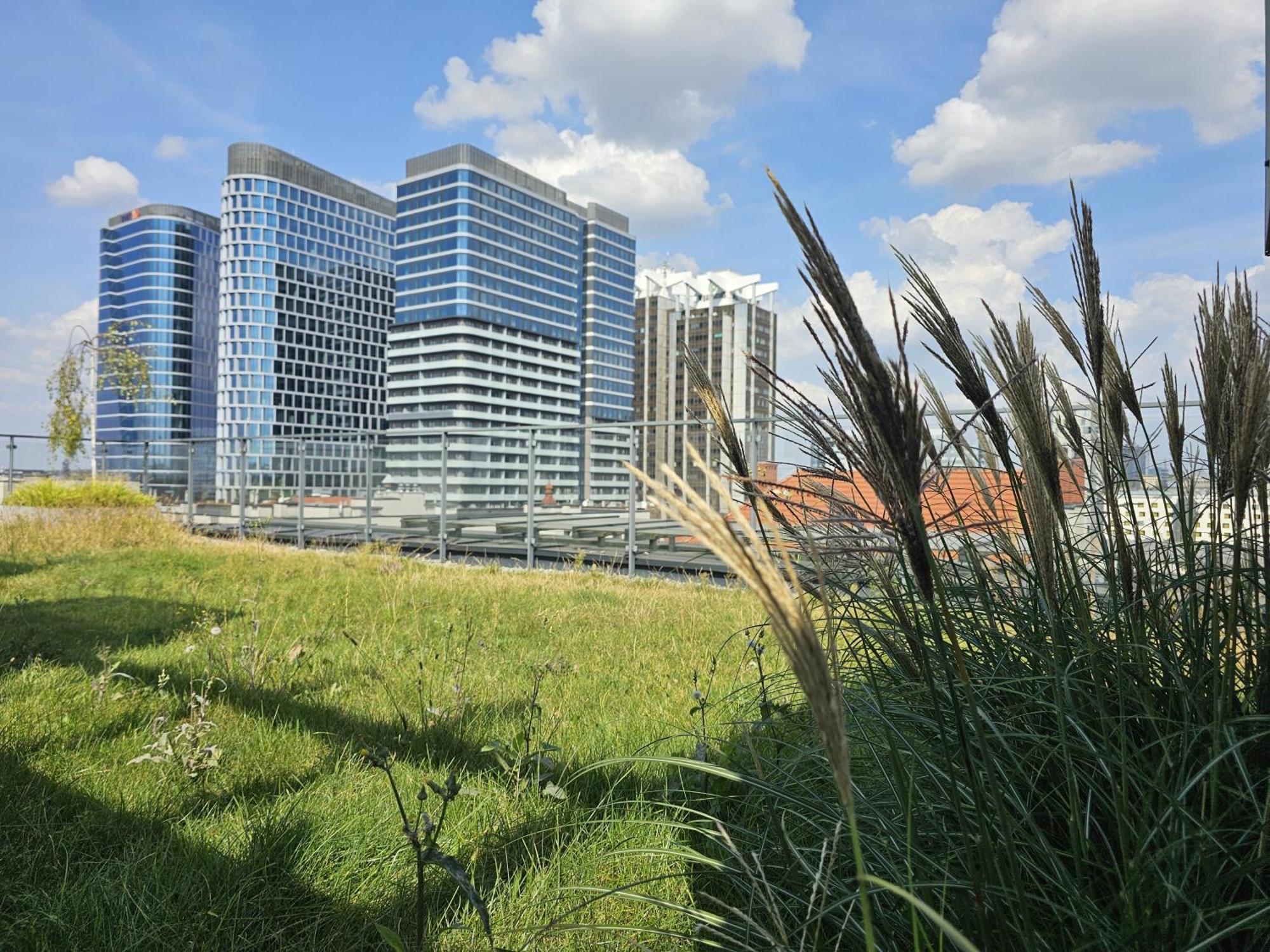 Urban Apartments Premium, Opolska 10 No 36, Free Garage, Self Check-In Katowice Buitenkant foto